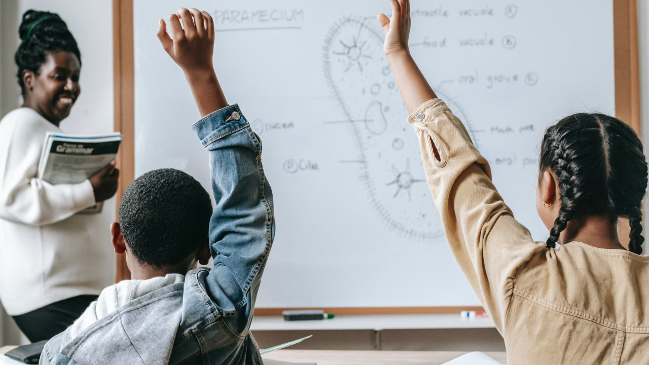 Why Do Teachers Make Great UX Designers? β Avocademy